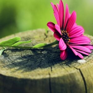 Meet your Posher, Claudia